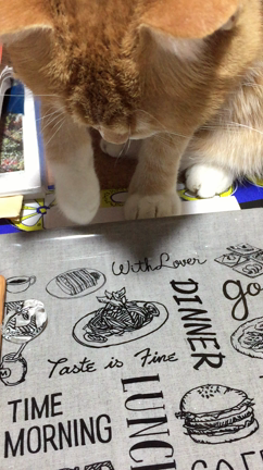 氷好きの記事動画