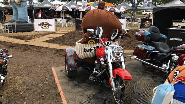 ねば〜る君ハーレーに乗る！の記事動画