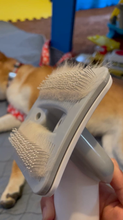 ラッキー！の記事動画