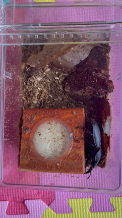 あぁ仕事行きたくないの記事動画