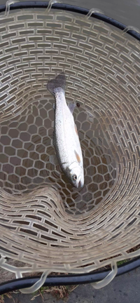 悩んでdoしよう。の記事動画