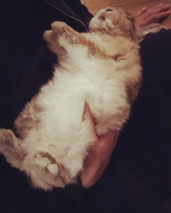 無防備の記事動画