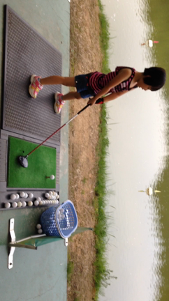 うちのライオンちゃんの記事動画