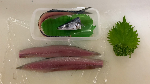 新サンマ[今年初買い]の記事動画