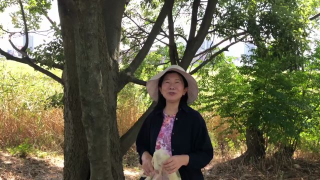 撮影しちゃいました❣️アーバンマルシェのPR動画の記事動画