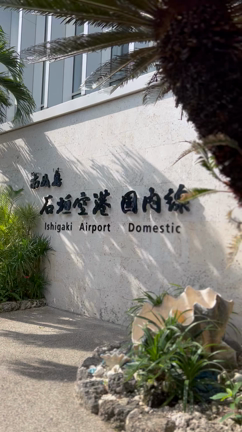 衝動的に小浜島の記事動画