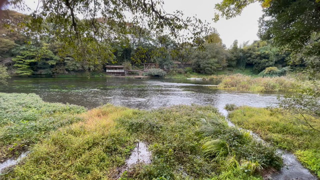 【三島旅行】初日に見たみずみずしいものの記事動画