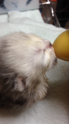 授乳中の記事動画