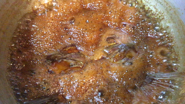 煮付けは酒が進むの記事動画