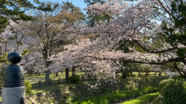 出雲イベントありがとうございましたの記事動画