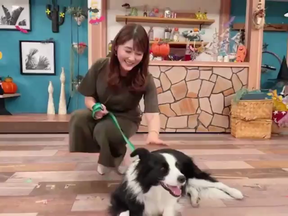 今日の色々と動画。の記事動画