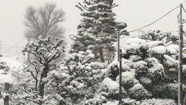 初雪記念日の記事動画