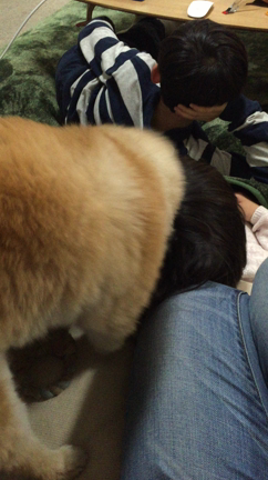 バレンタインのぽめたろうの記事動画