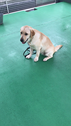 こころちゃん☆の記事動画