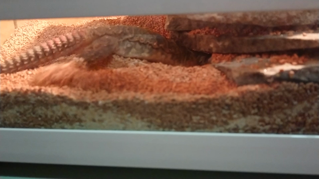 一日があっという間！！の記事動画