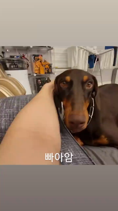 2022年もジョングクに愛を注ぐ♡♡♡の記事動画