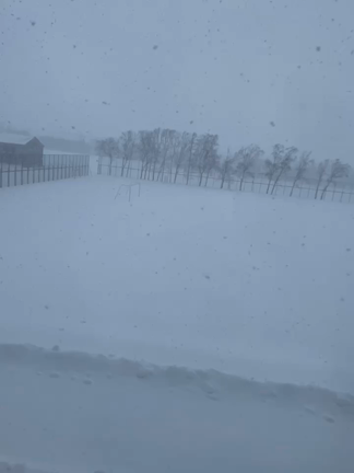 森野さくらさんのプロフィールページ