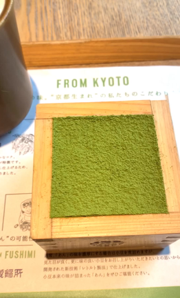 紅葉を見に京都への記事動画