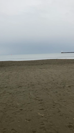 自由に思いつくままの記事動画