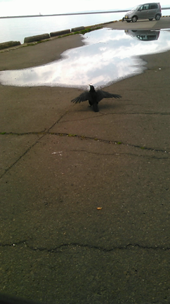 ある意味、素晴らしい❤の記事動画