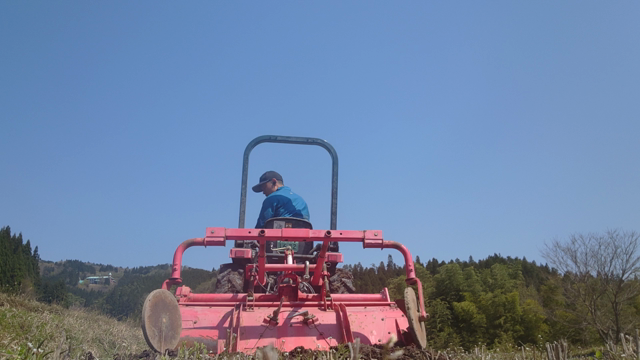 今やるべきことの記事動画