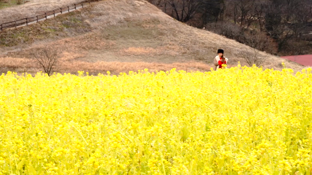 お別れはもう嫌。の記事動画