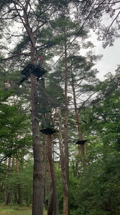 「女の子でなかなか居ないですよ」と言われた件←@草津2022の記事動画