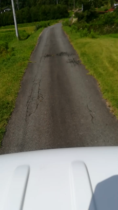 合宿その他の記事動画