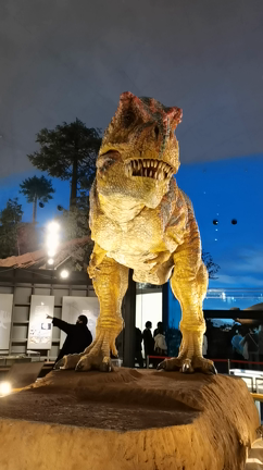 初雪は福井県の記事動画