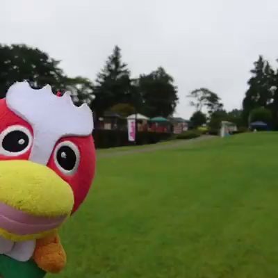 ～「東北フレンドパーク Vol.5 In やぶき」開催しました！～の記事動画