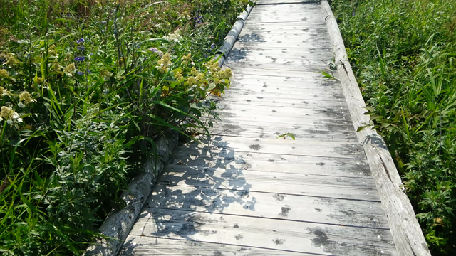 里帰り4日目☆の記事動画