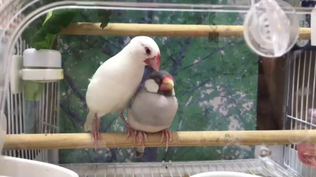 そんな日もあるさの記事動画