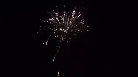 一番落ち着く場所。の記事動画