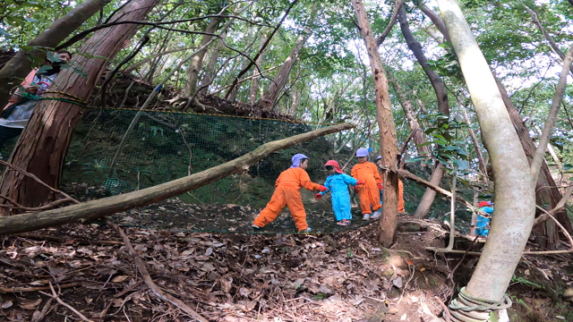 トレイルはワクワクがいっぱい^ ^の記事動画