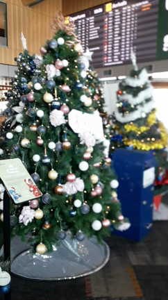 映画好きな方はニュージーランドへどうぞの記事動画