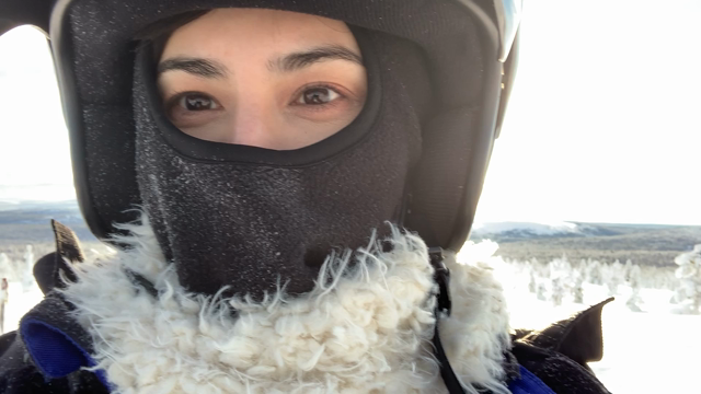 フィンランドの雪。の記事動画