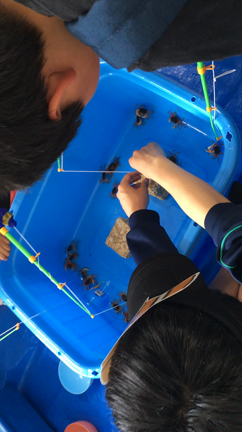 こまつこども大会さまにておもしろすいぞくかん開催！大変喜ばれました！の記事動画