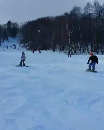山梨県スキーの記事動画