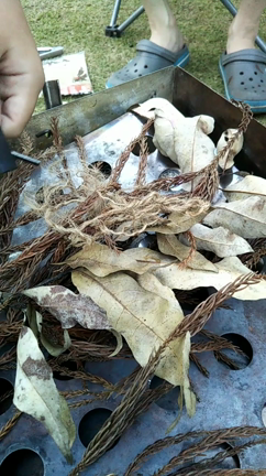 キャンプの記事動画