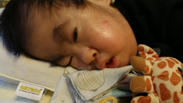 おぃらの七五三♪の記事動画