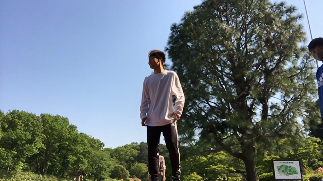 自然公園で青空ダンスレッスン！！の記事動画