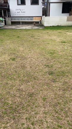 春ですね〜今週のお出かけいろいろ〜♪の記事動画