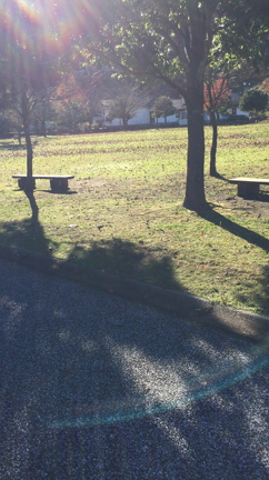 撮影。の記事動画