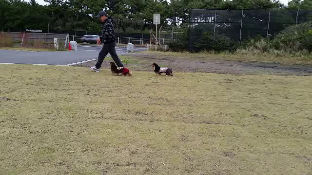 動くモカの記事動画