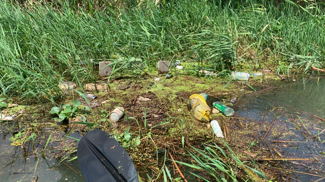 クレヨンしんちゃんの街、春日部市の古利根川清掃活動。の記事動画