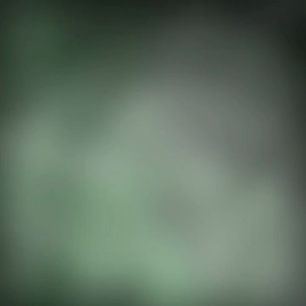 誰もが憧れるキレイなお鼻！の記事動画