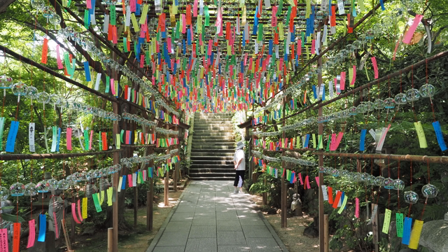 かえる寺の記事動画