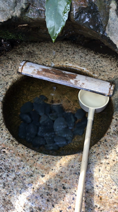 東京、二つの顔の記事動画