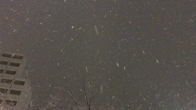 スリップ注意◎の記事動画