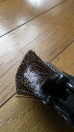 掃除と成長の記事動画